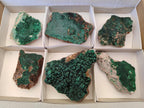 Natural Botryoidal Malachite Specimens x 6 From Congo
