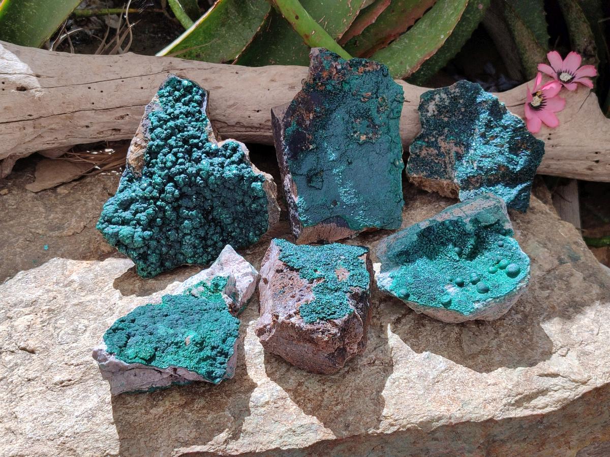 Natural Botryoidal Malachite Specimens x 6 From Congo