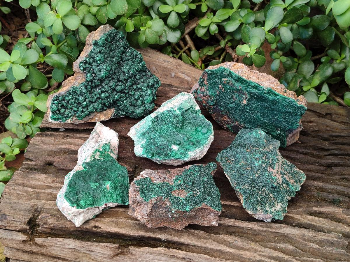 Natural Botryoidal Malachite Specimens x 6 From Congo