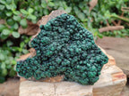 Natural Botryoidal Malachite Specimens x 6 From Congo
