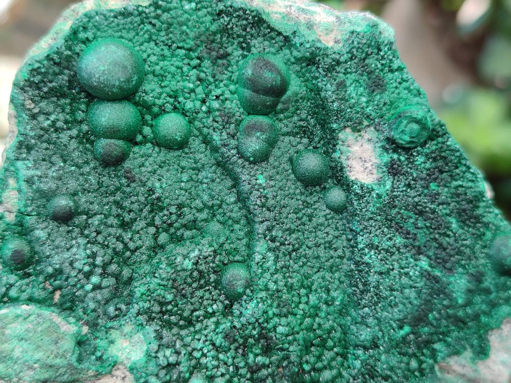 Natural Botryoidal Malachite Specimens x 6 From Congo