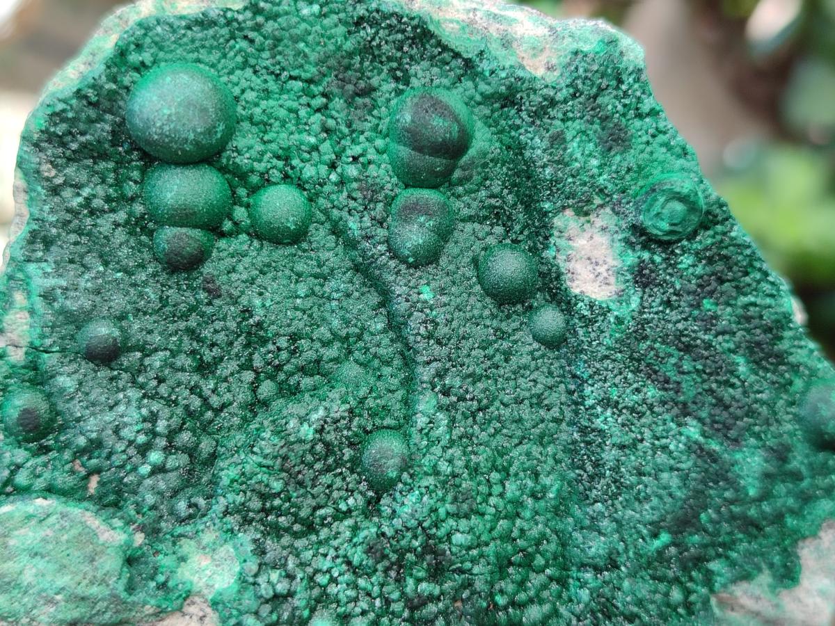 Natural Botryoidal Malachite Specimens x 6 From Congo