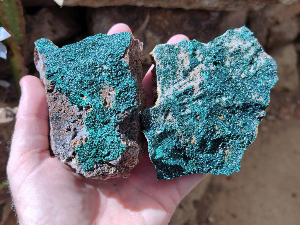 Natural Botryoidal Malachite Specimens x 6 From Congo