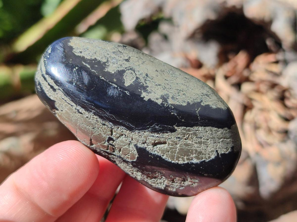 Polished Basalt Pharaoh Stone Galets x 24 From Iron Duke Mine, Zimbabwe