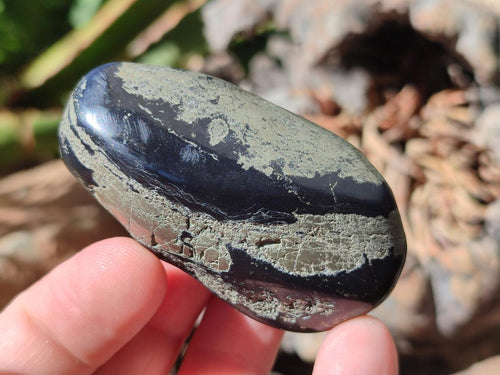 Polished Basalt Pharaoh Stone Galets x 24 From Iron Duke Mine, Zimbabwe - Toprock Gemstones and Minerals 