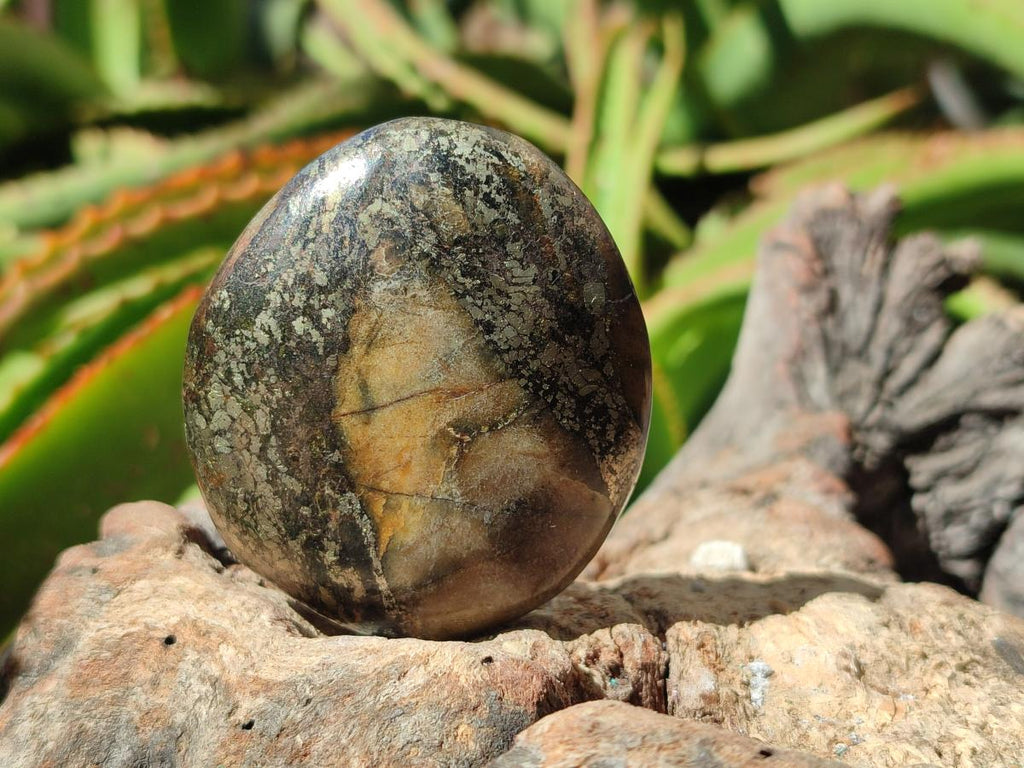 Polished Basalt Pharaoh Stone Galets x 24 From Iron Duke Mine, Zimbabwe