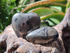 Polished Basalt Pharaoh Stone Galets x 24 From Iron Duke Mine, Zimbabwe