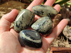 Polished Basalt Pharaoh Stone Galets x 24 From Iron Duke Mine, Zimbabwe