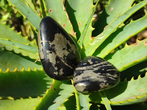 Polished Basalt Pharaoh Stone Galets x 24 From Iron Duke Mine, Zimbabwe - Toprock Gemstones and Minerals 