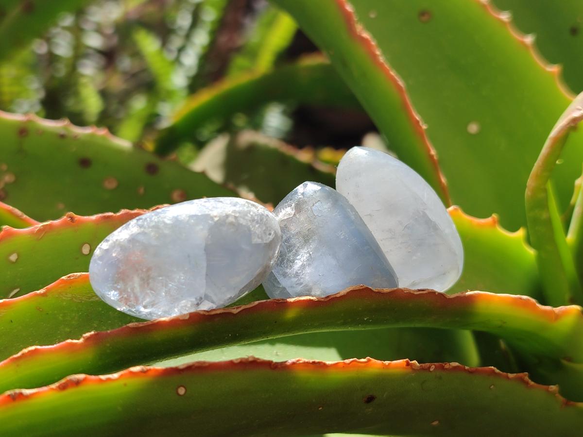 Polished Blue Celestite Free Forms x 70 From Sakoany, Madagascar