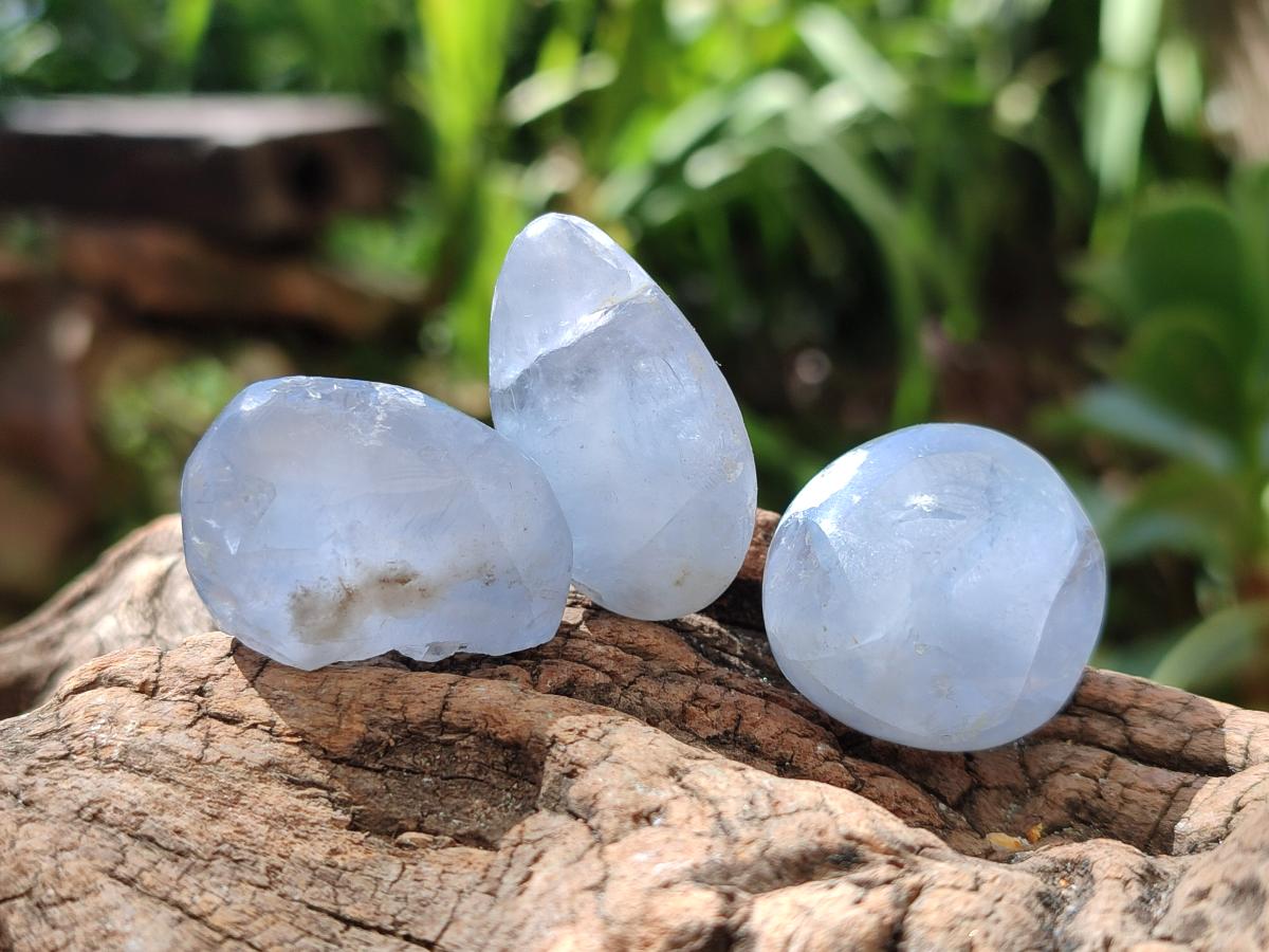Polished Blue Celestite Free Forms x 70 From Sakoany, Madagascar