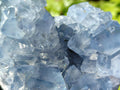 Natural Blue Celestite Geode Cluster Specimens x 2 From Sakoany, Madagascar