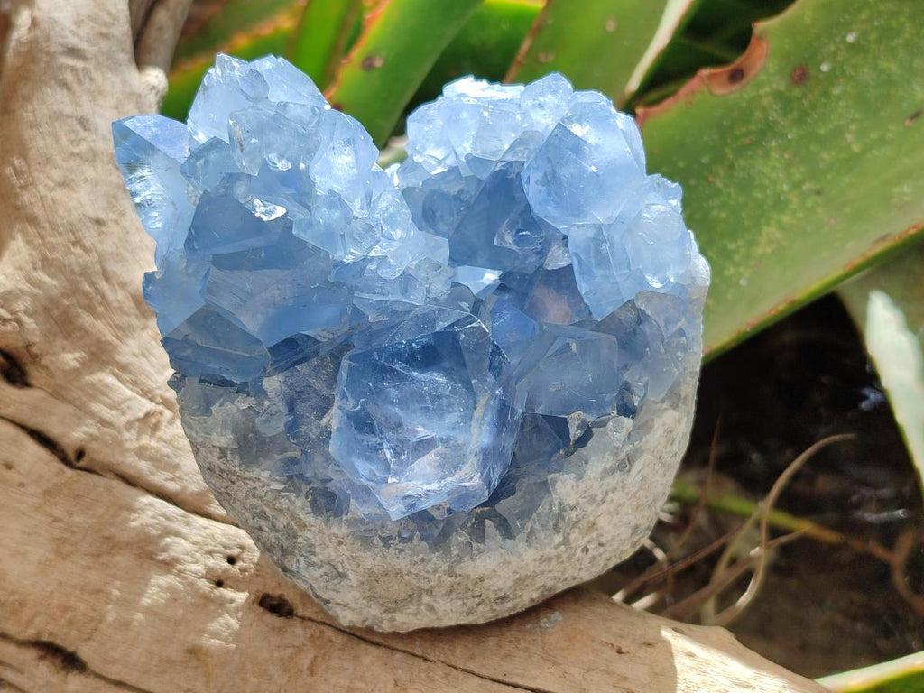 Natural Blue Celestite Geode Cluster Specimens x 2 From Sakoany, Madagascar