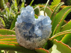 Natural Blue Celestite Geode Cluster Specimens x 2 From Sakoany, Madagascar