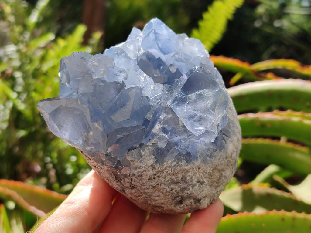 Natural Blue Celestite Geode Cluster Specimens x 2 From Sakoany, Madagascar