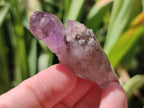 Natural Smokey Chiredzi Amethyst Crystals x 12 From Chiredzi, Zimbabwe