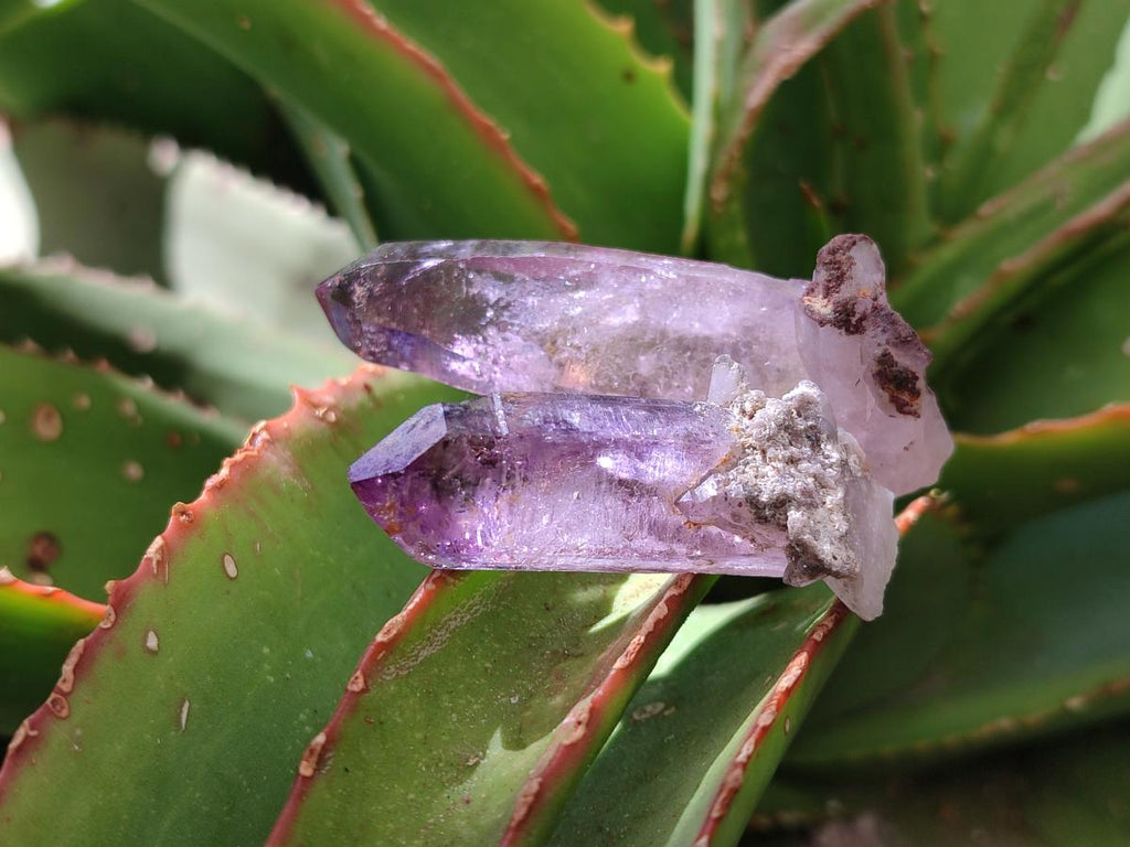 Natural Smokey Chiredzi Amethyst Crystals x 12 From Chiredzi, Zimbabwe