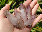 Natural Smokey Chiredzi Amethyst Crystals x 12 From Chiredzi, Zimbabwe