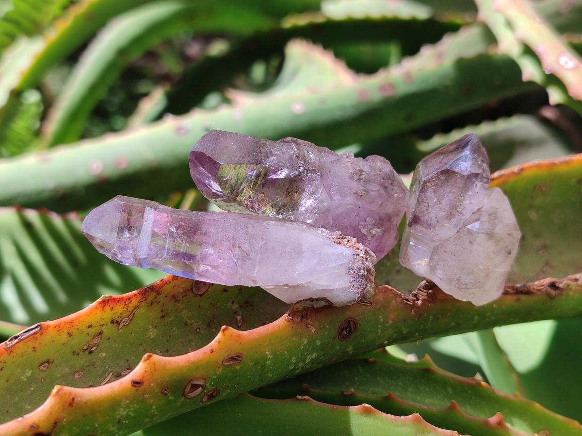 Natural Smokey Chiredzi Amethyst Crystals x 12 From Chiredzi, Zimbabwe