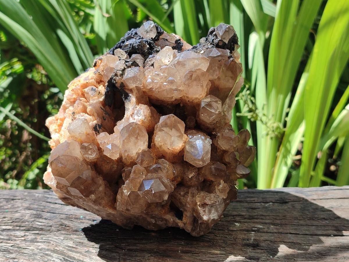 Natural Large Smokey Phantom Quartz Cluster x 1 From Luena, Congo - Toprock Gemstones and Minerals 