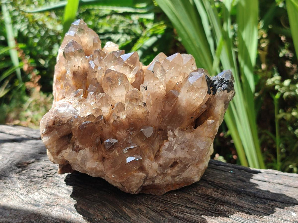 Natural Large Smokey Phantom Quartz Cluster x 1 From Luena, Congo - Toprock Gemstones and Minerals 