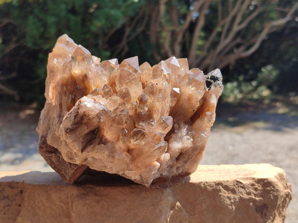 Natural Large Smokey Phantom Quartz Cluster x 1 From Luena, Congo - Toprock Gemstones and Minerals 