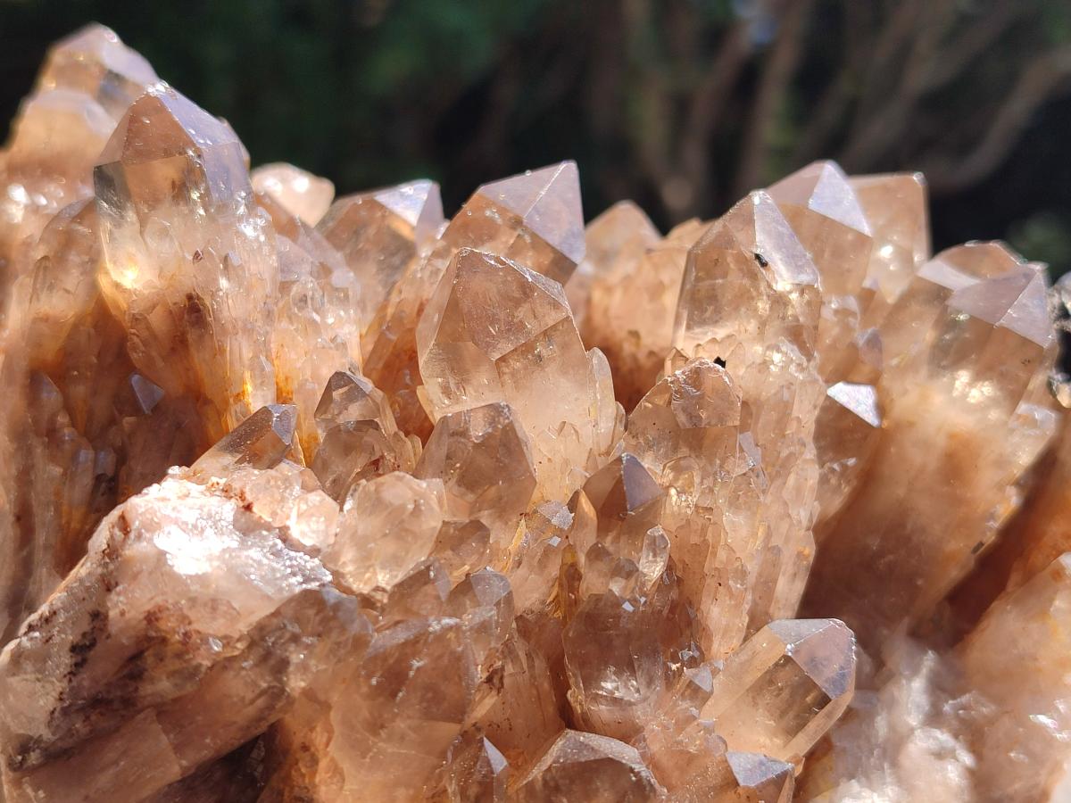 Natural Large Smokey Phantom Quartz Cluster x 1 From Luena, Congo - Toprock Gemstones and Minerals 