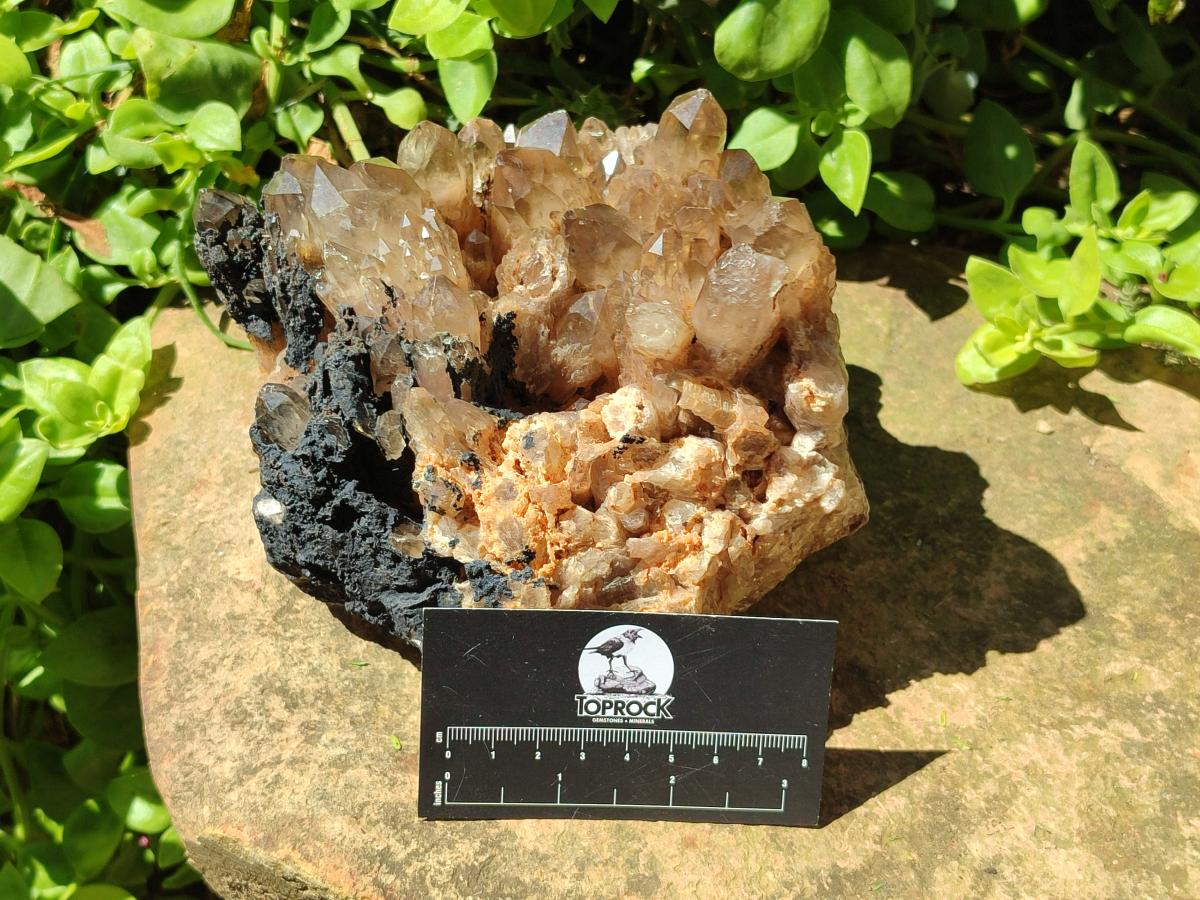 Natural Large Smokey Phantom Quartz Cluster x 1 From Luena, Congo - Toprock Gemstones and Minerals 
