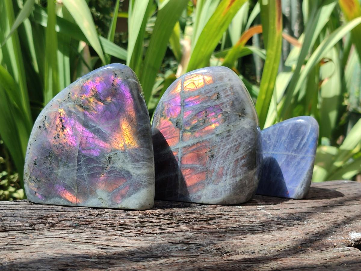 Polished Rare Purple Sunset Flash Labradorite Standing Free Forms x 3 From Madagascar - Toprock Gemstones and Minerals 