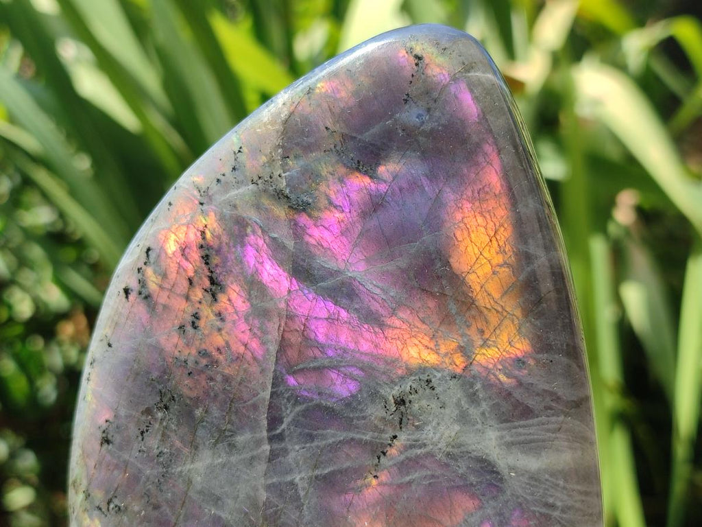 Polished Rare Purple Sunset Flash Labradorite Standing Free Forms x 3 From Madagascar - Toprock Gemstones and Minerals 