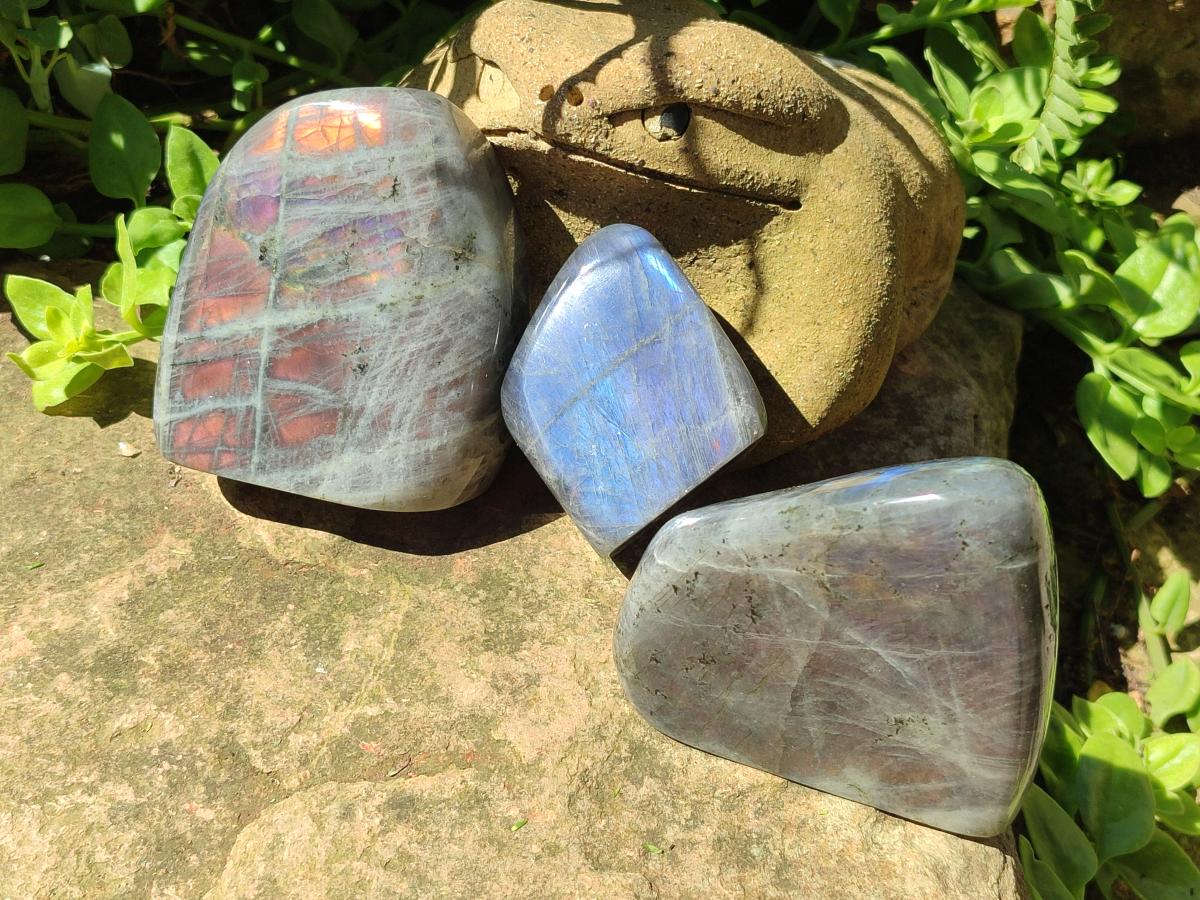 Polished Rare Purple Sunset Flash Labradorite Standing Free Forms x 3 From Madagascar - Toprock Gemstones and Minerals 