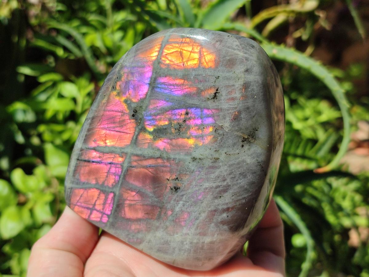 Polished Rare Purple Sunset Flash Labradorite Standing Free Forms x 3 From Madagascar - Toprock Gemstones and Minerals 