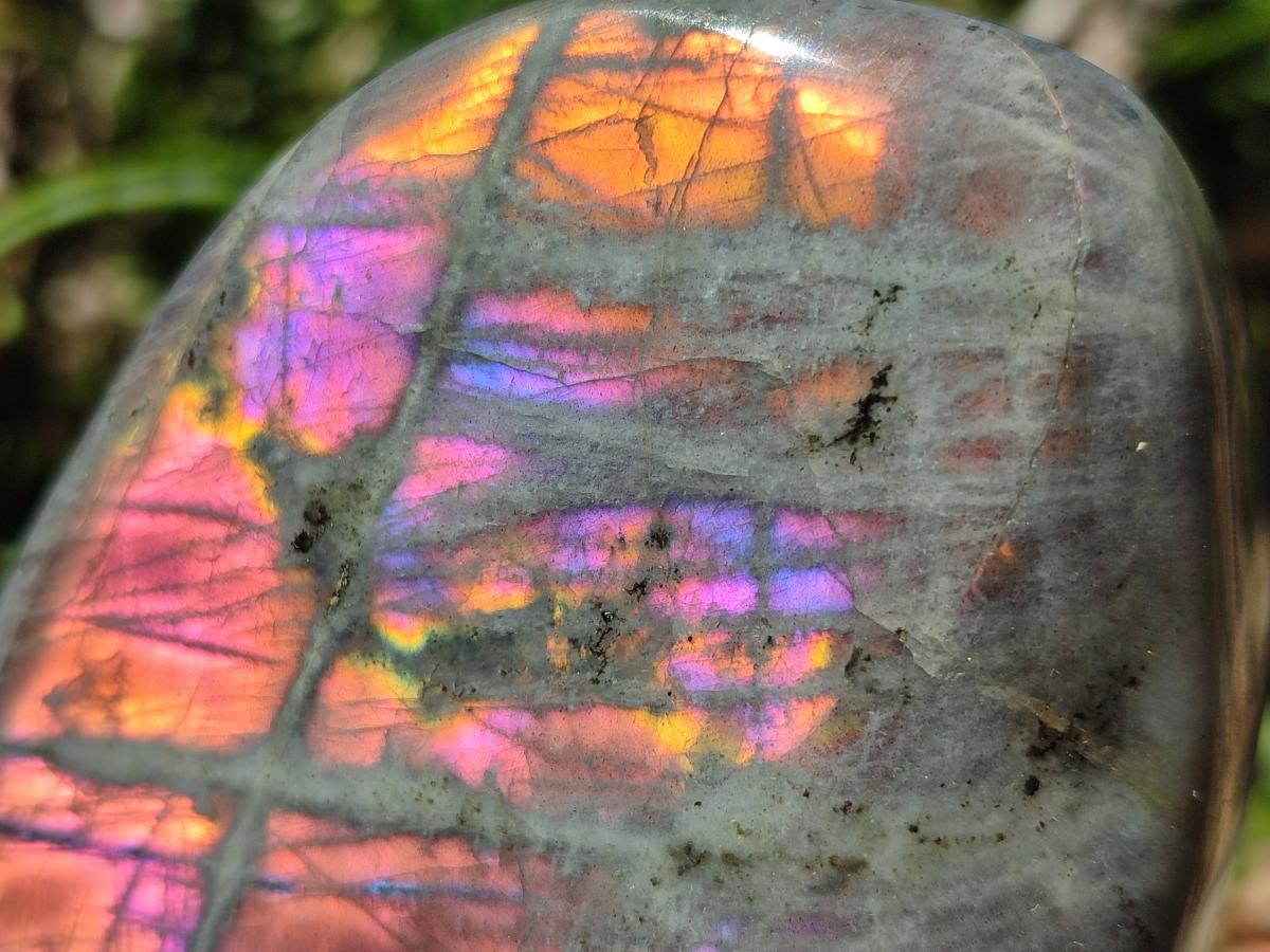 Polished Rare Purple Sunset Flash Labradorite Standing Free Forms x 3 From Madagascar - Toprock Gemstones and Minerals 