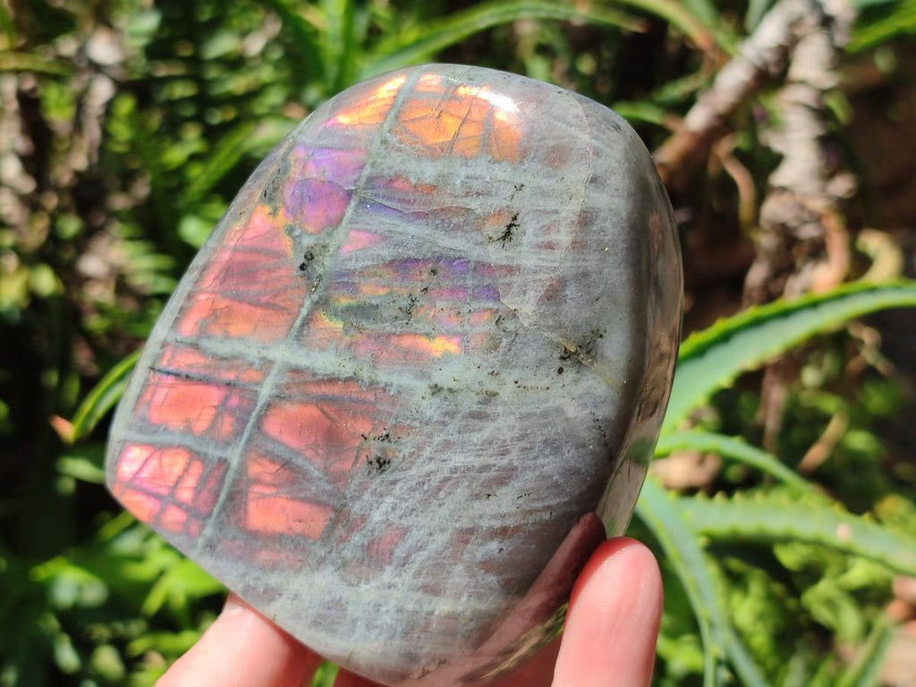 Polished Rare Purple Sunset Flash Labradorite Standing Free Forms x 3 From Madagascar - Toprock Gemstones and Minerals 