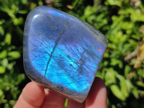 Polished Rare Purple Sunset Flash Labradorite Standing Free Forms x 3 From Madagascar - Toprock Gemstones and Minerals 