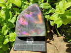 Polished Rare Purple Sunset Flash Labradorite Standing Free Forms x 3 From Madagascar - Toprock Gemstones and Minerals 