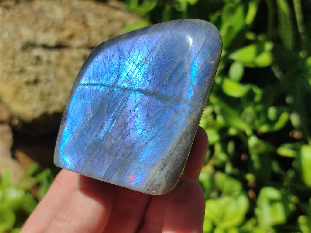 Polished Rare Purple Sunset Flash Labradorite Standing Free Forms x 3 From Madagascar - Toprock Gemstones and Minerals 