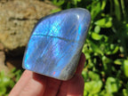Polished Rare Purple Sunset Flash Labradorite Standing Free Forms x 3 From Madagascar - Toprock Gemstones and Minerals 
