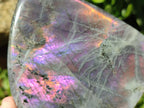 Polished Rare Purple Sunset Flash Labradorite Standing Free Forms x 3 From Madagascar - Toprock Gemstones and Minerals 
