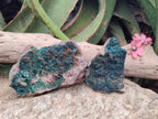Natural Crystalline Malachite Specimens x 2 From Tenke Fungurume, Congo - Toprock Gemstones and Minerals 