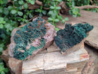 Natural Crystalline Malachite Specimens x 2 From Tenke Fungurume, Congo - Toprock Gemstones and Minerals 