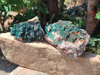 Natural Crystalline Malachite Specimens x 2 From Tenke Fungurume, Congo - Toprock Gemstones and Minerals 