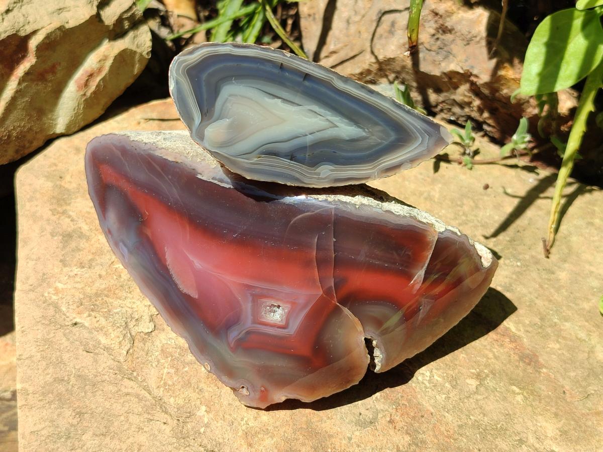 Polished One Side Red Shashe River Agate Nodules x 2 From Shashe River, Zimbabwe - Toprock Gemstones and Minerals 