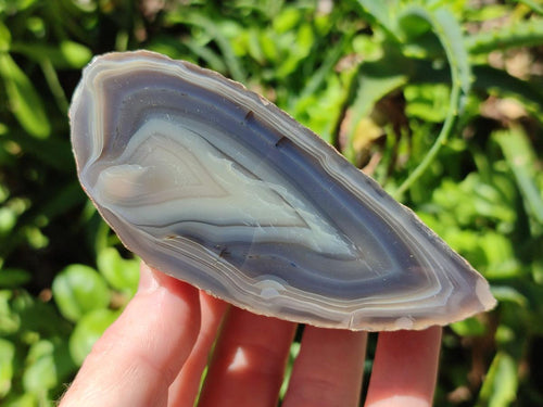 Polished One Side Red Shashe River Agate Nodules x 2 From Shashe River, Zimbabwe - Toprock Gemstones and Minerals 