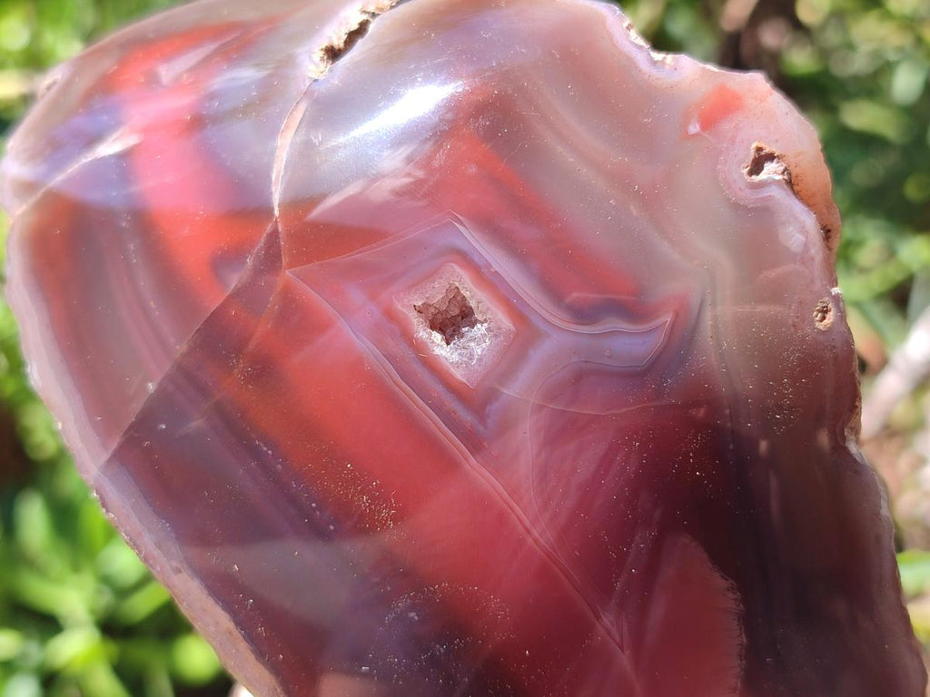 Polished One Side Red Shashe River Agate Nodules x 2 From Shashe River, Zimbabwe - Toprock Gemstones and Minerals 
