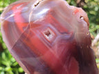 Polished One Side Red Shashe River Agate Nodules x 2 From Shashe River, Zimbabwe - Toprock Gemstones and Minerals 