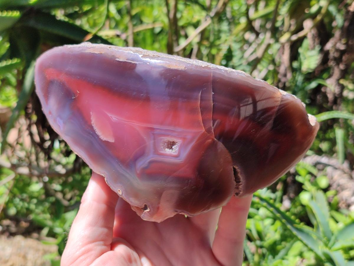 Polished One Side Red Shashe River Agate Nodules x 2 From Shashe River, Zimbabwe - Toprock Gemstones and Minerals 