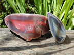 Polished One Side Red Shashe River Agate Nodules x 2 From Shashe River, Zimbabwe - Toprock Gemstones and Minerals 