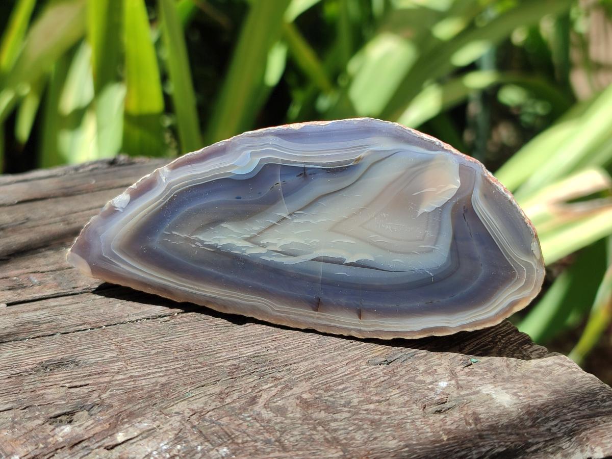 Polished One Side Red Shashe River Agate Nodules x 2 From Shashe River, Zimbabwe - Toprock Gemstones and Minerals 