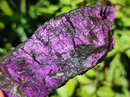 Natural Metallic Cobbed Purpurite Specimens x 12 From Erongo, Namibia - Toprock Gemstones and Minerals 